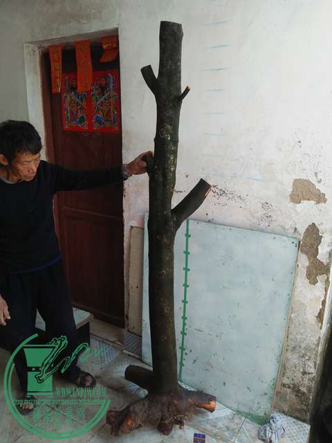 IMG20170213120822.jpg