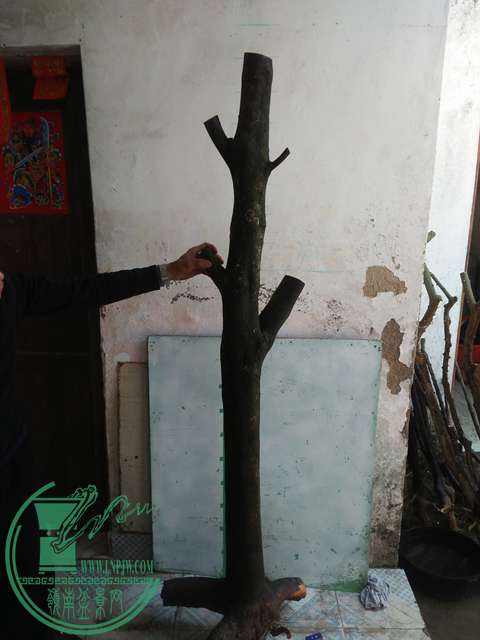 IMG20170213120836.jpg