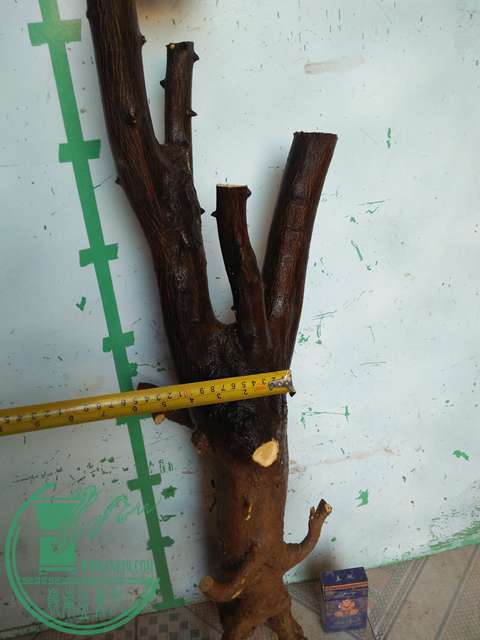 IMG20170215081447.jpg