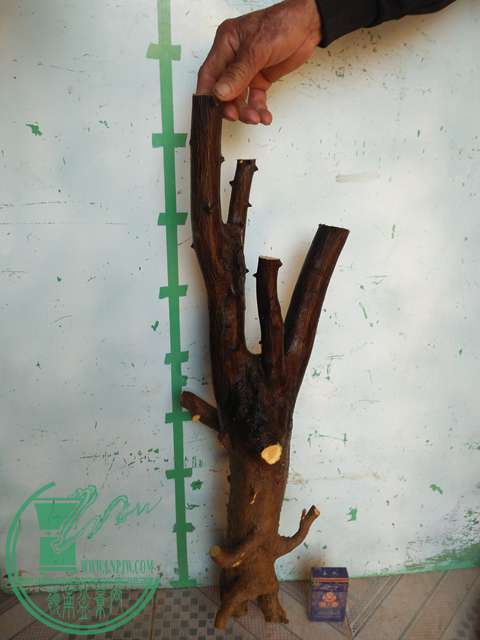 IMG20170215081527.jpg