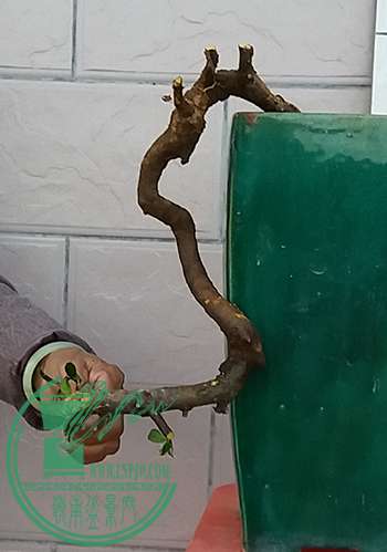 20170214_182432_mh1487158416024.jpg
