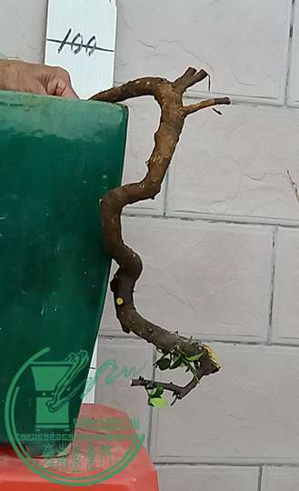 20170214_182358_mh1487158374782.jpg
