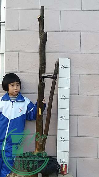 20170215_175802_mh1487158106662.jpg