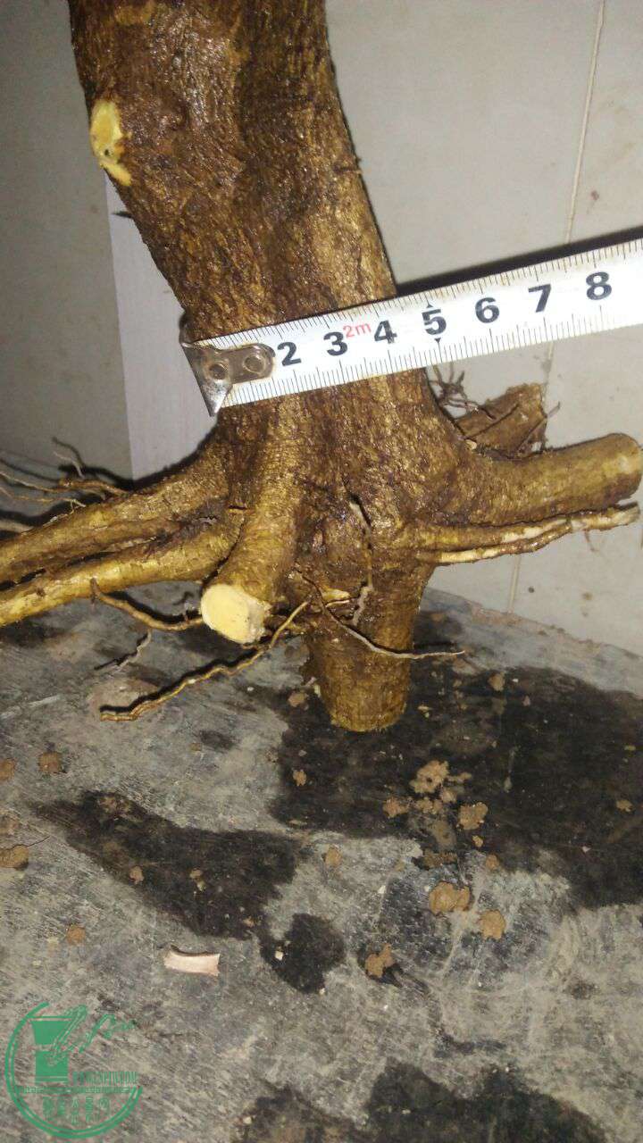 QQͼƬ20170215201136.jpg