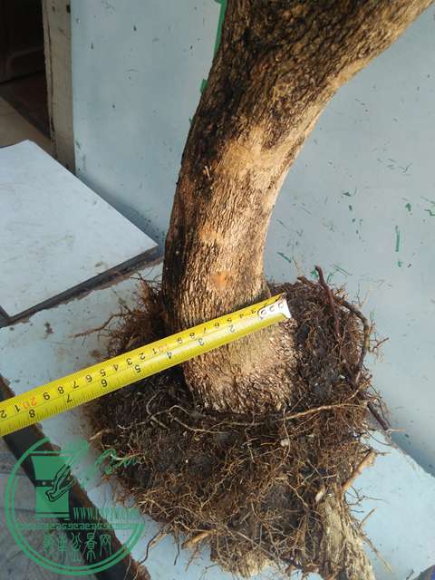 IMG20170215111017.jpg