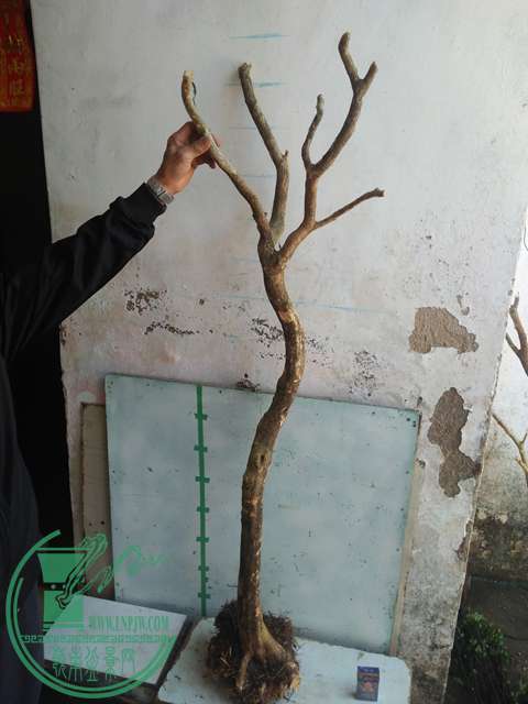 IMG20170215111115.jpg