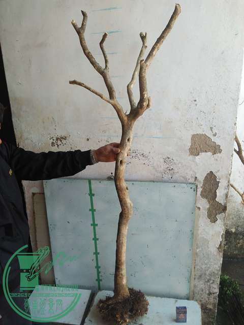 IMG20170215111152.jpg