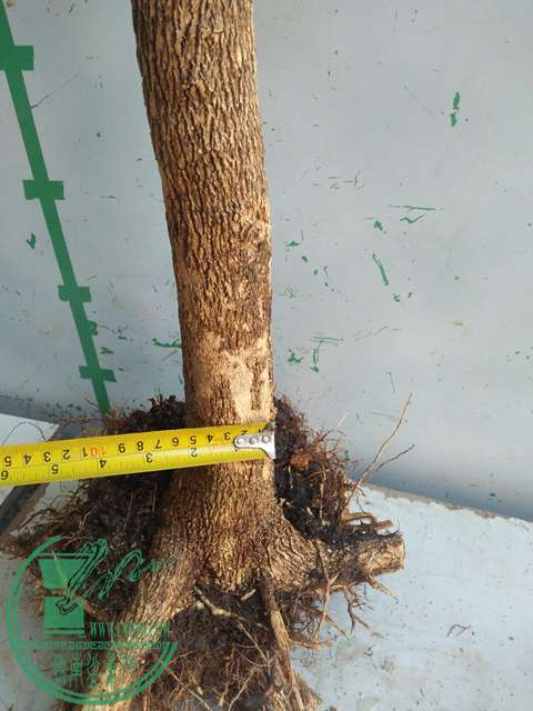 IMG20170215111228.jpg
