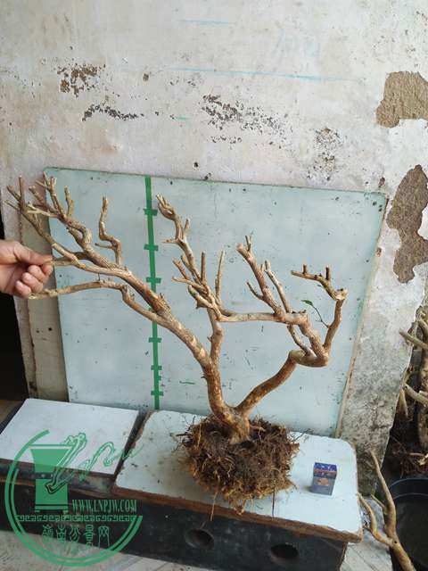 IMG20170214102740.jpg