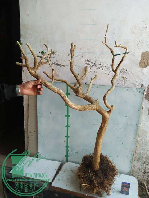 IMG20170214102820.jpg
