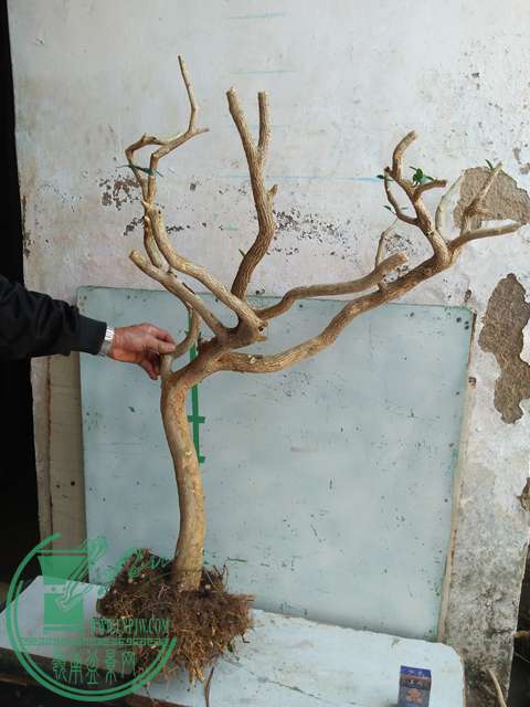 IMG20170214102902.jpg