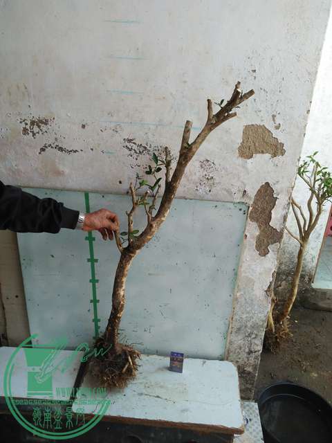 IMG20170214103503.jpg