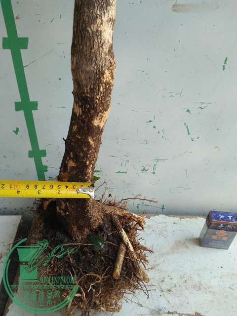 IMG20170214103510.jpg