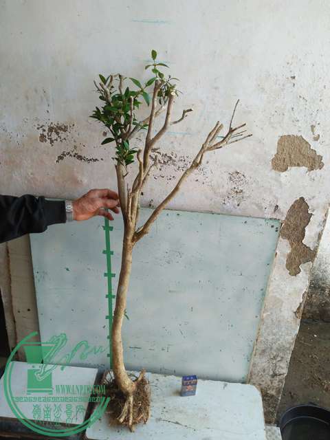IMG20170214103724.jpg