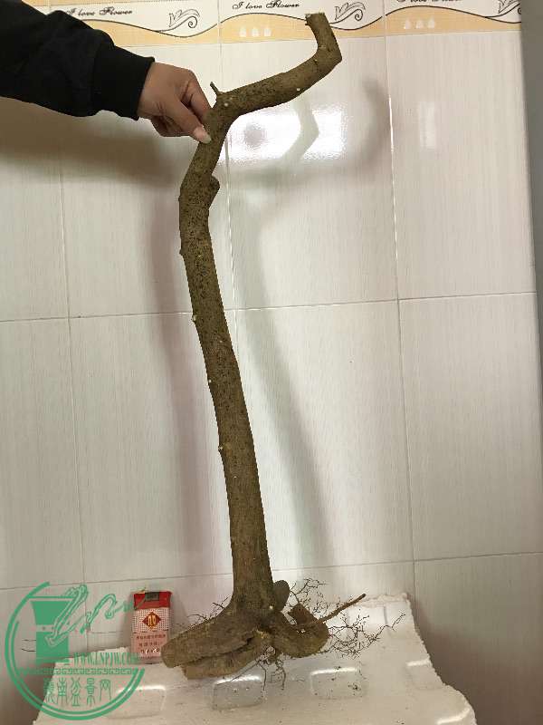 859199