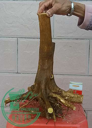 20170216_181910_mh1487243271095.jpg