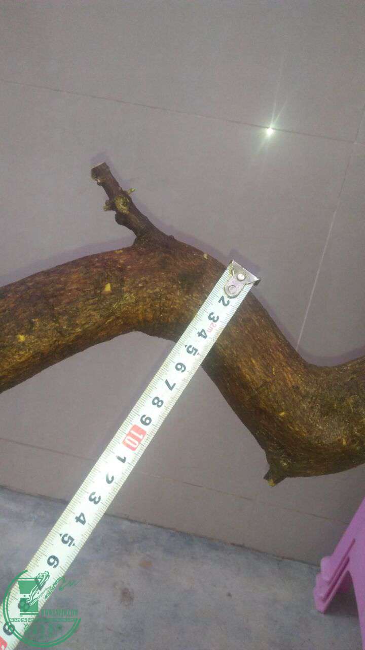 QQͼƬ20170216201043.jpg