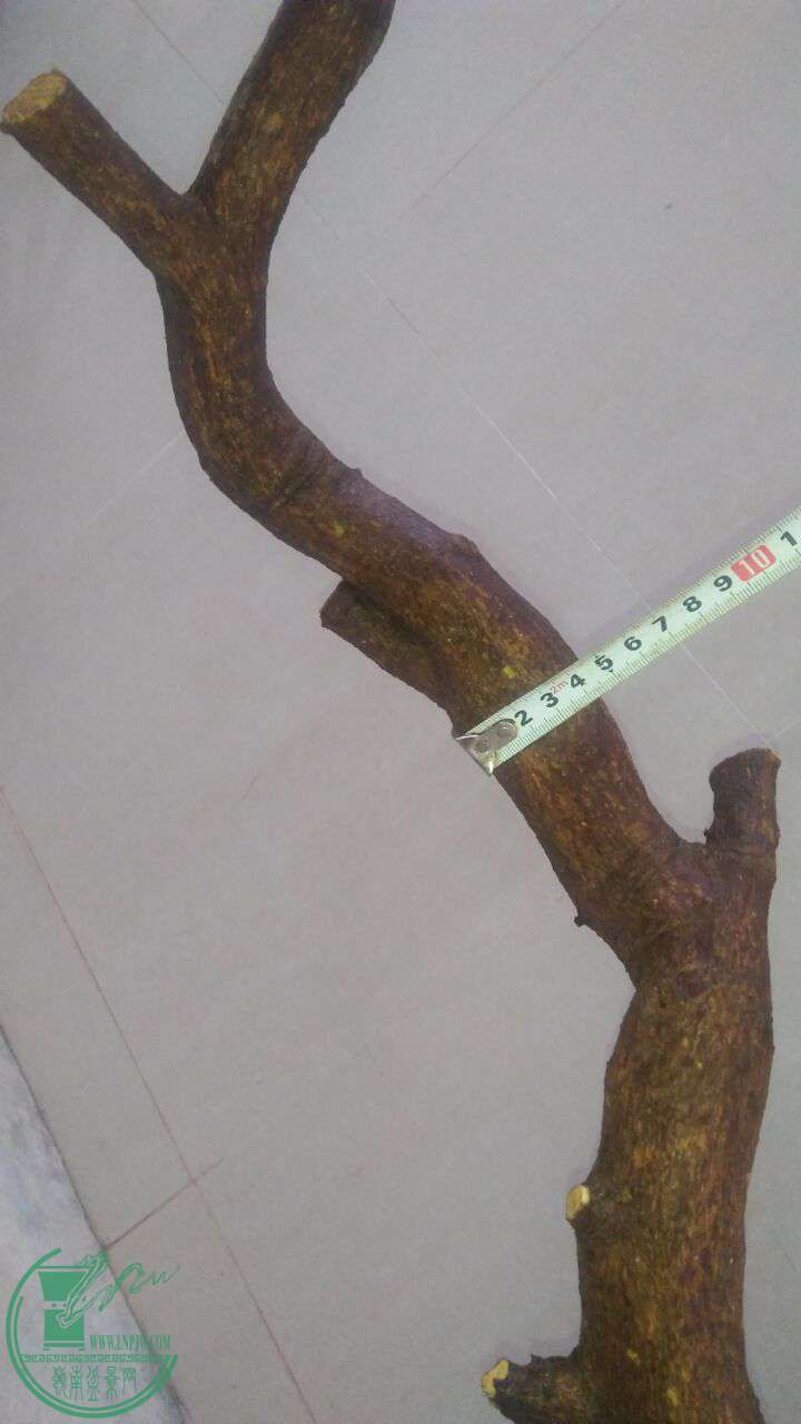 QQͼƬ20170216200937.jpg