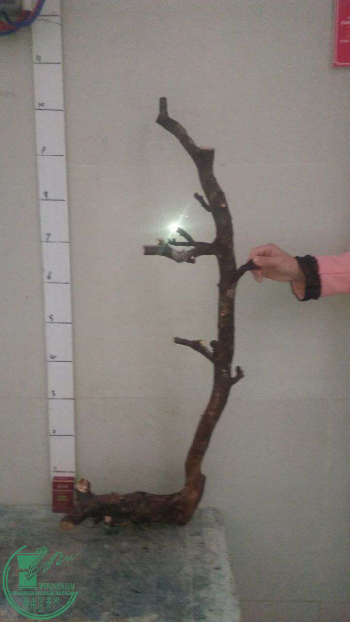 QQͼƬ20170216201202.jpg