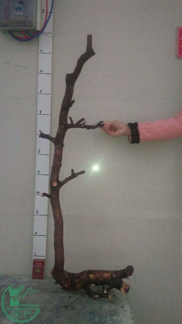 QQͼƬ20170216201225.jpg