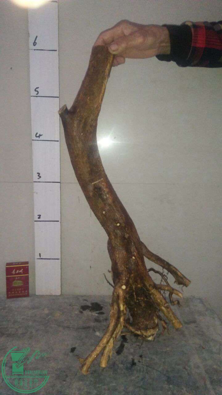 QQͼƬ20170216201253.jpg