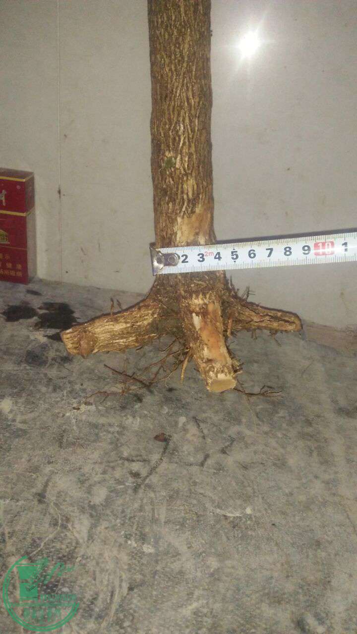 QQͼƬ20170216201134.jpg