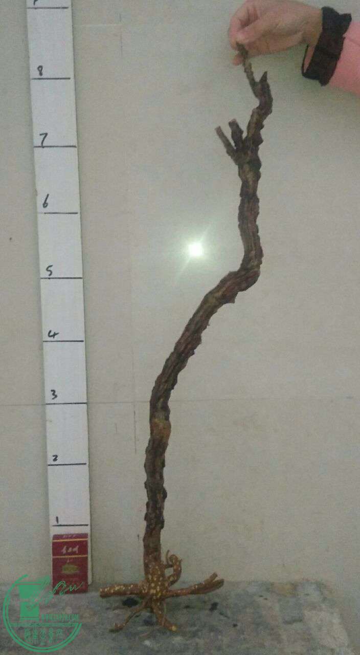 QQͼƬ20170216201102.jpg