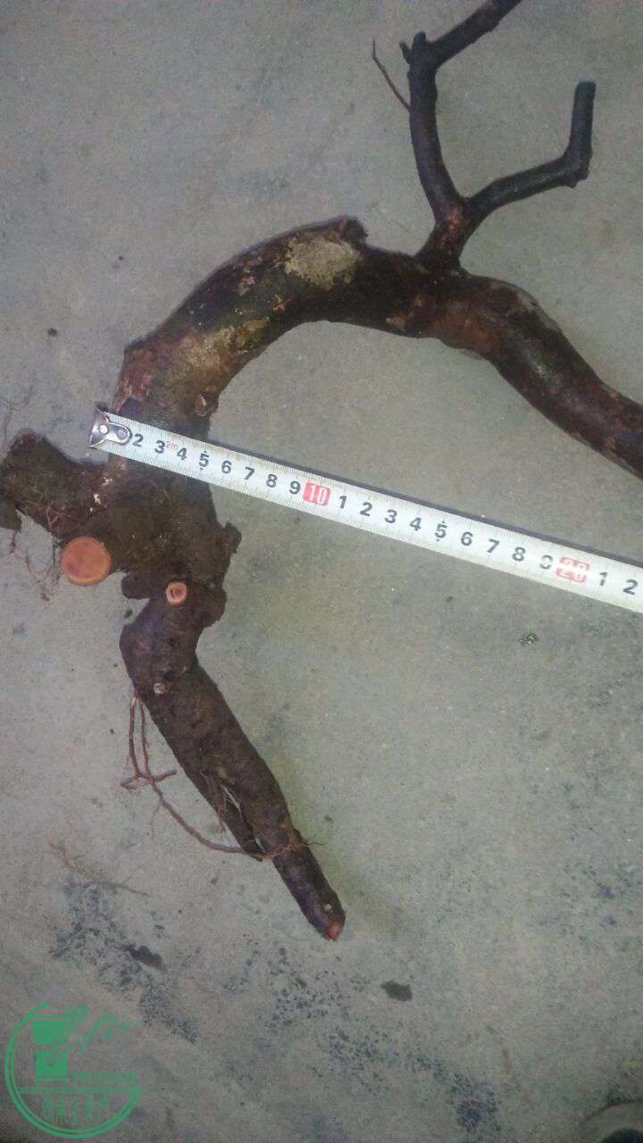 QQͼƬ20170216201108.jpg