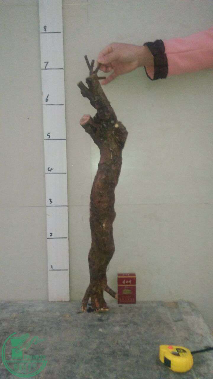 QQͼƬ20170216201429.jpg