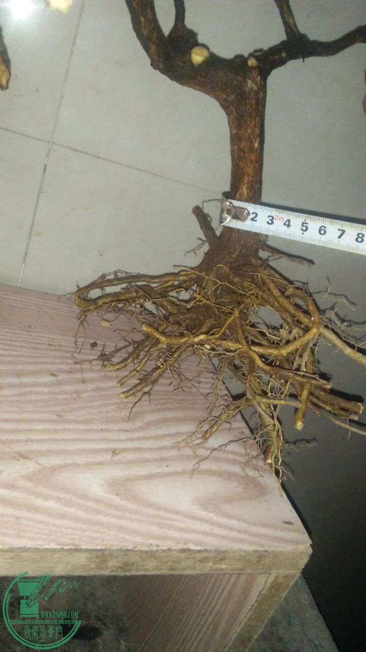 QQͼƬ20170216201350.jpg