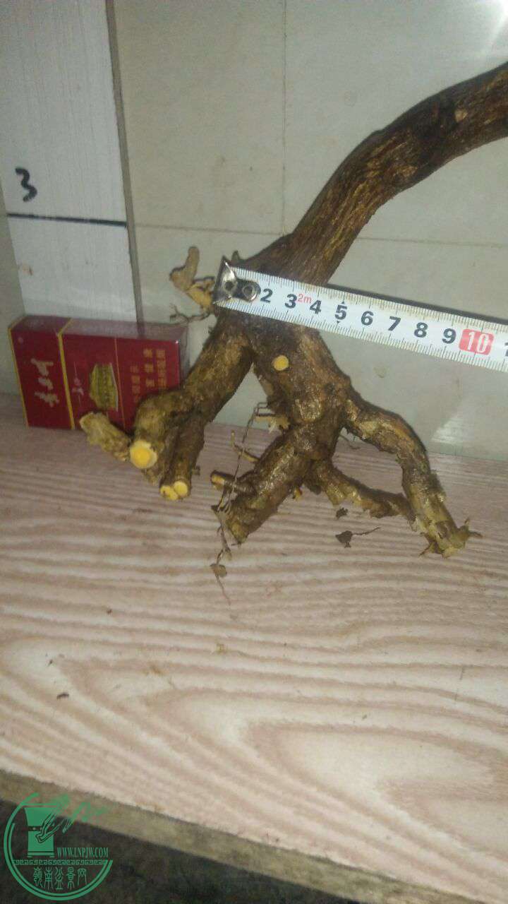 QQͼƬ20170216201423.jpg