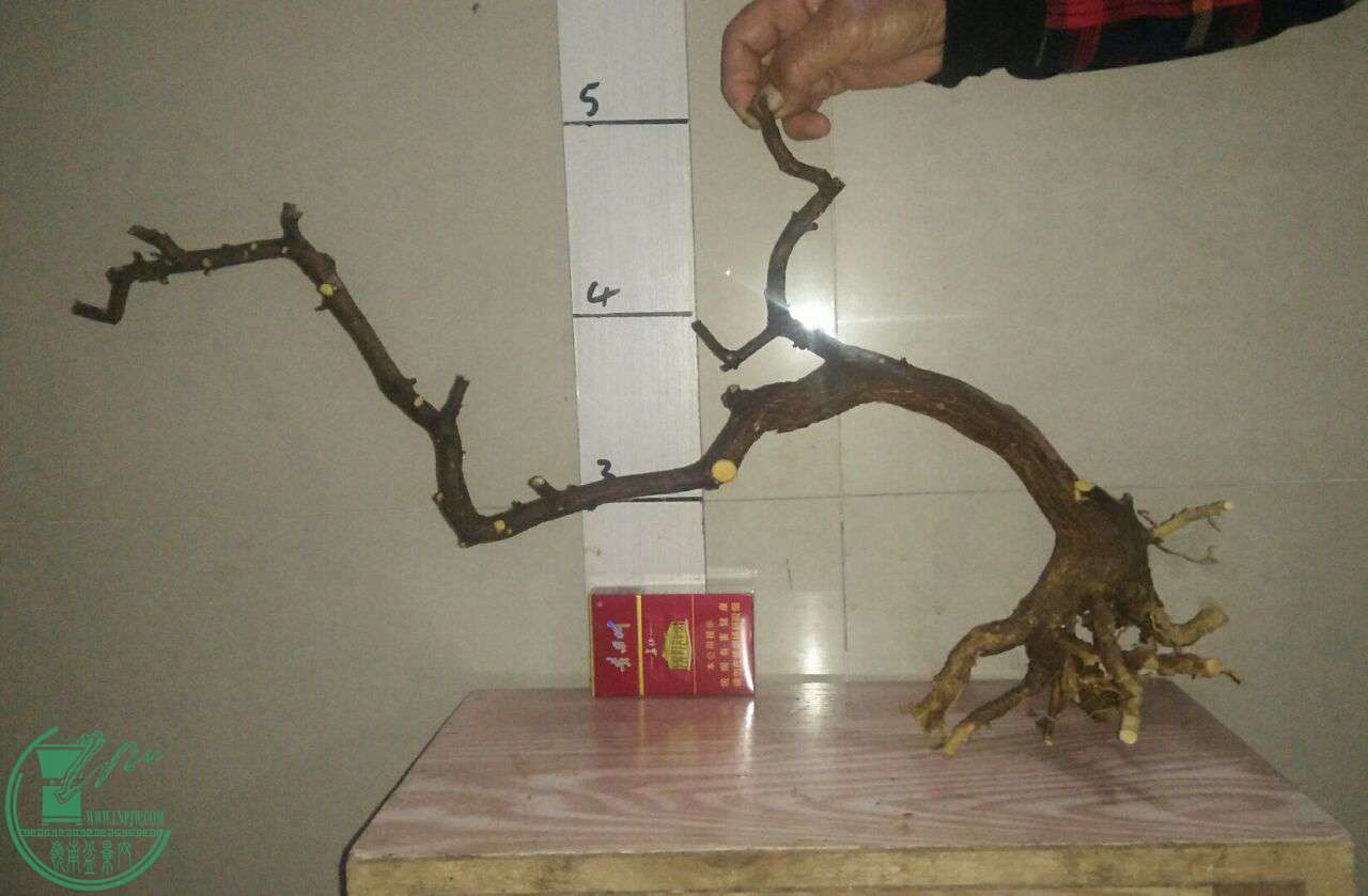QQͼƬ20170216201333.jpg
