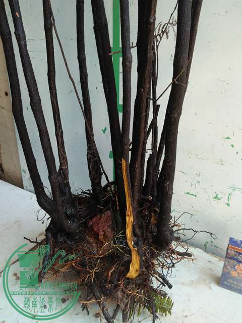 IMG20170216141331.jpg