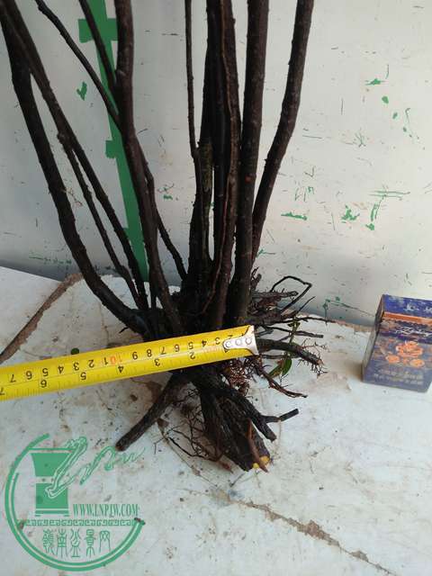 IMG20170216141353.jpg