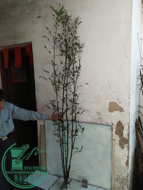 IMG20170216141438.jpg