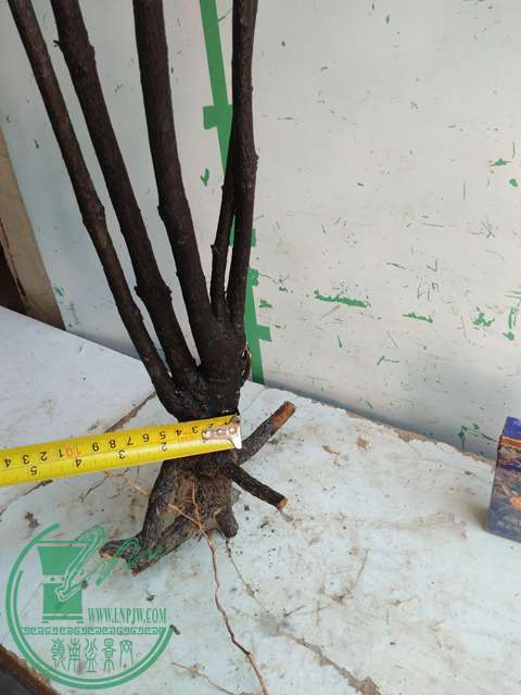 IMG20170216141445.jpg