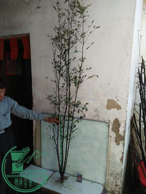 IMG20170216141454.jpg