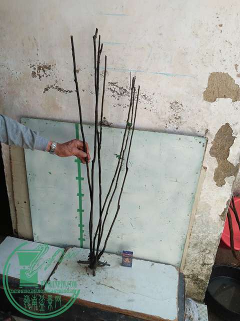 IMG20170216141920.jpg