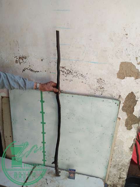 IMG20170216141943.jpg