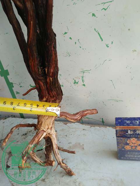 IMG20170216142545.jpg