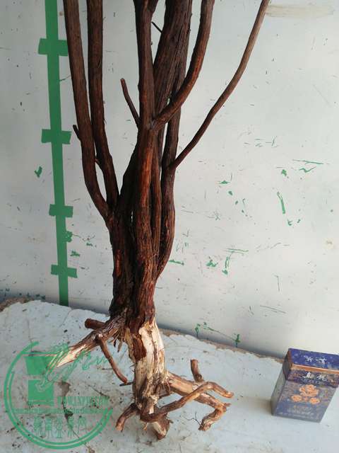 IMG20170216142620.jpg