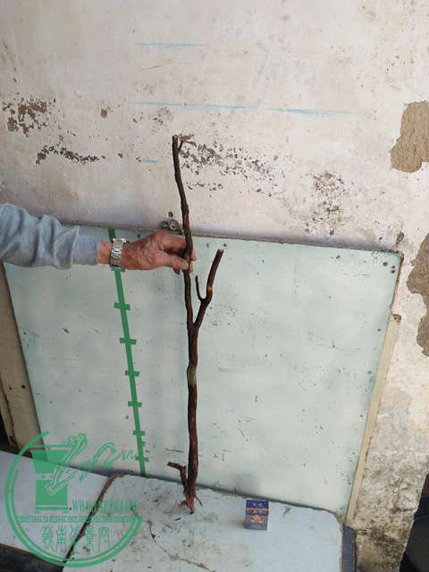 IMG20170216142742.jpg