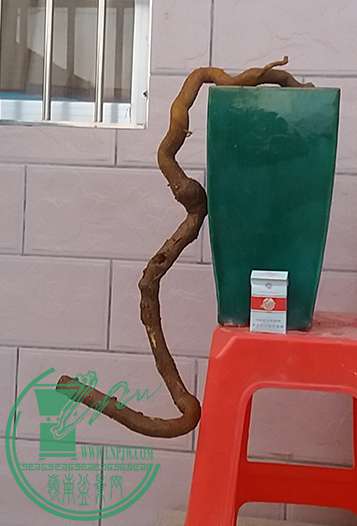 20170217_183255_mh1487330945145.jpg