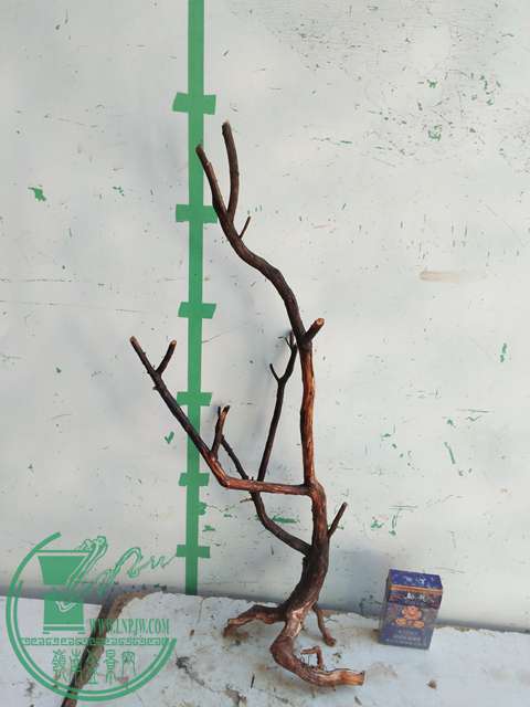 IMG20170217130308.jpg