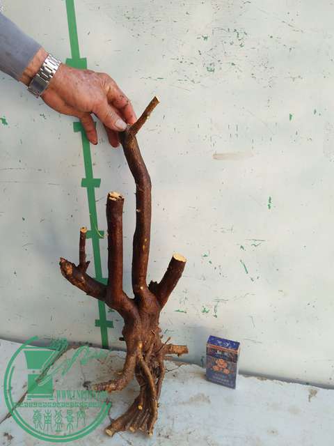 IMG20170217130040.jpg