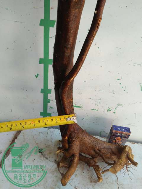 IMG20170217130109.jpg