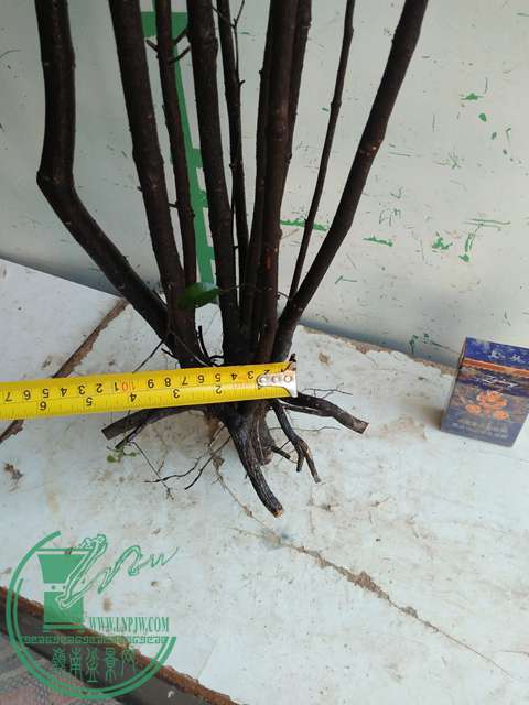 IMG20170216141131.jpg