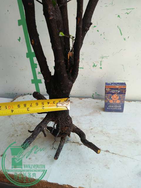IMG20170216141220.jpg