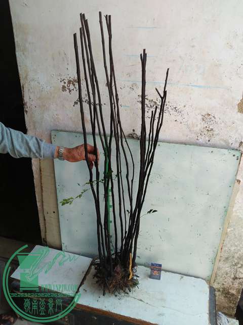 IMG20170216141312.jpg