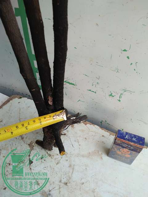 IMG20170216141724.jpg